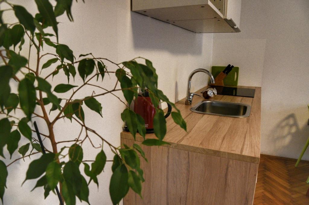 Two Flowers Apartments Zagreb Bagian luar foto